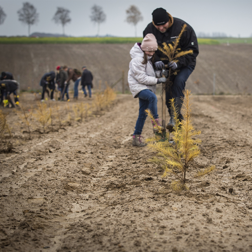 HANSA-FLEX Forest Mission Statement